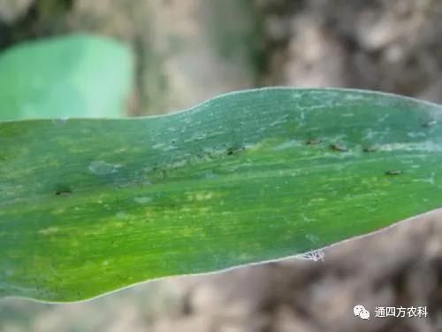 ���הQ����ô�k����ץ�o��Q��(hu��)Ӱ푮a(ch��n)��!!!